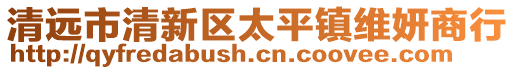 清遠(yuǎn)市清新區(qū)太平鎮(zhèn)維妍商行