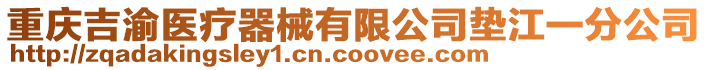 重慶吉渝醫(yī)療器械有限公司墊江一分公司