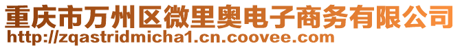 重慶市萬州區(qū)微里奧電子商務(wù)有限公司