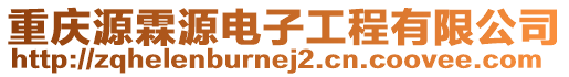 重慶源霖源電子工程有限公司