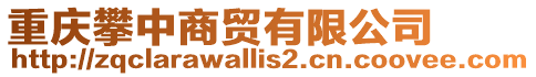 重慶攀中商貿(mào)有限公司