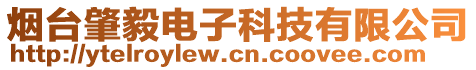 煙臺肇毅電子科技有限公司