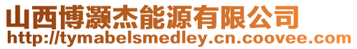 山西博灝杰能源有限公司