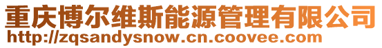 重慶博爾維斯能源管理有限公司