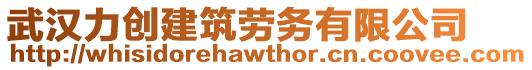 武漢力創(chuàng)建筑勞務(wù)有限公司