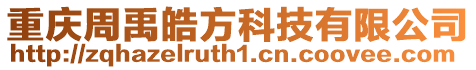重慶周禹皓方科技有限公司