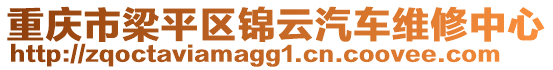 重慶市梁平區(qū)錦云汽車維修中心