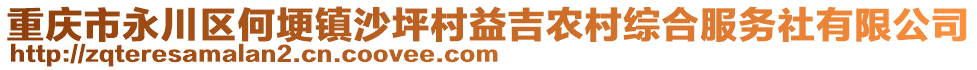 重慶市永川區(qū)何埂鎮(zhèn)沙坪村益吉農(nóng)村綜合服務社有限公司