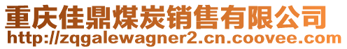 重慶佳鼎煤炭銷售有限公司