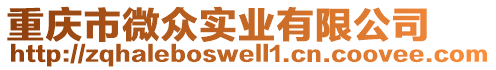 重慶市微眾實(shí)業(yè)有限公司