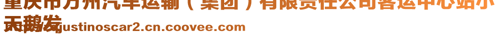 重慶市萬州汽車運輸（集團）有限責任公司客運中心站小
天鵝發(fā)