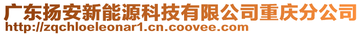 廣東揚(yáng)安新能源科技有限公司重慶分公司