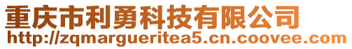 重慶市利勇科技有限公司