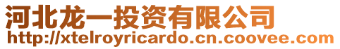 河北龍一投資有限公司