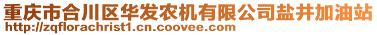 重慶市合川區(qū)華發(fā)農(nóng)機(jī)有限公司鹽井加油站