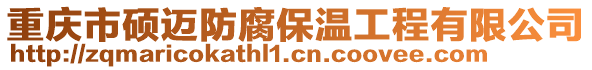 重慶市碩邁防腐保溫工程有限公司