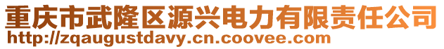 重慶市武隆區(qū)源興電力有限責(zé)任公司