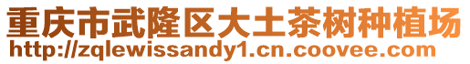 重慶市武隆區大土茶樹種植場