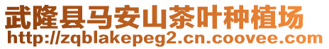 武隆縣馬安山茶葉種植場