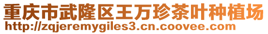 重慶市武隆區王萬珍茶葉種植場