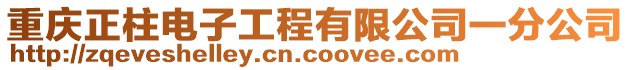 重慶正柱電子工程有限公司一分公司