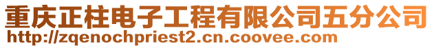 重慶正柱電子工程有限公司五分公司
