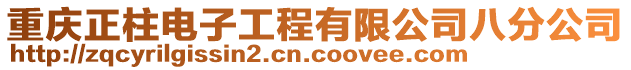 重慶正柱電子工程有限公司八分公司