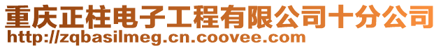 重慶正柱電子工程有限公司十分公司