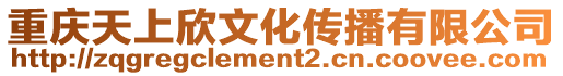 重慶天上欣文化傳播有限公司