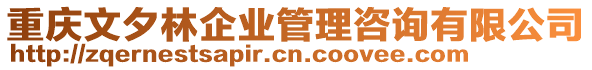 重慶文夕林企業(yè)管理咨詢有限公司