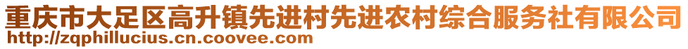 重慶市大足區高升鎮先進村先進農村綜合服務社有限公司