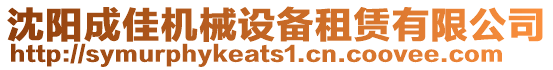 沈陽成佳機械設備租賃有限公司