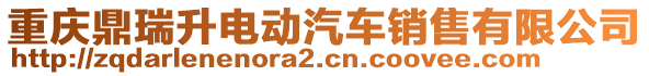 重慶鼎瑞升電動汽車銷售有限公司