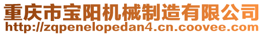 重慶市寶陽機械制造有限公司