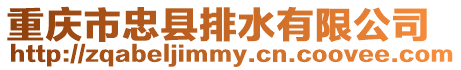 重慶市忠縣排水有限公司