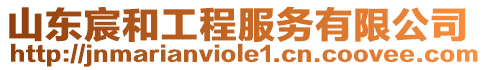 山東宸和工程服務(wù)有限公司