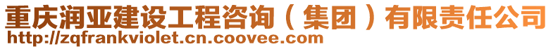 重慶潤亞建設(shè)工程咨詢（集團(tuán)）有限責(zé)任公司