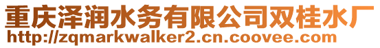 重慶澤潤水務(wù)有限公司雙桂水廠