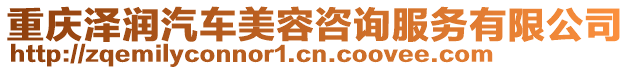 重慶澤潤汽車美容咨詢服務(wù)有限公司