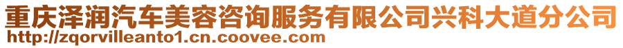 重慶澤潤汽車美容咨詢服務(wù)有限公司興科大道分公司