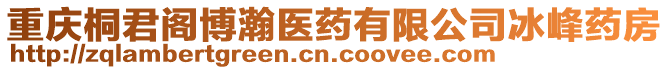 重慶桐君閣博瀚醫(yī)藥有限公司冰峰藥房