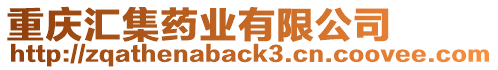 重慶匯集藥業(yè)有限公司