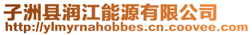 子洲縣潤江能源有限公司