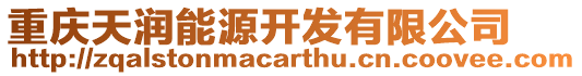 重慶天潤能源開發有限公司