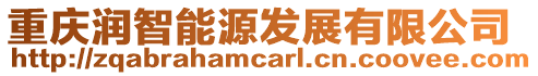 重慶潤(rùn)智能源發(fā)展有限公司