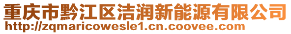 重慶市黔江區(qū)潔潤(rùn)新能源有限公司