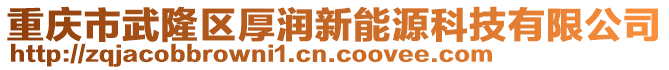 重慶市武隆區(qū)厚潤(rùn)新能源科技有限公司