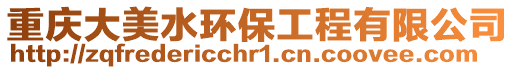 重慶大美水環(huán)保工程有限公司