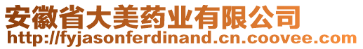 安徽省大美藥業有限公司