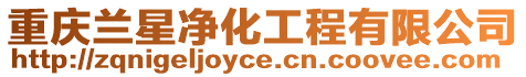 重慶蘭星凈化工程有限公司